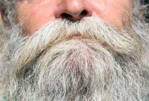Grey Beard - Old Man